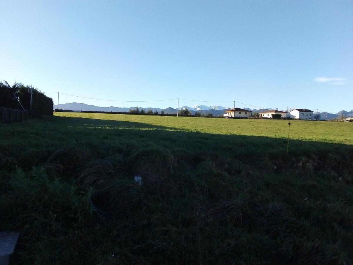 Rurales Miramar * Pimiango